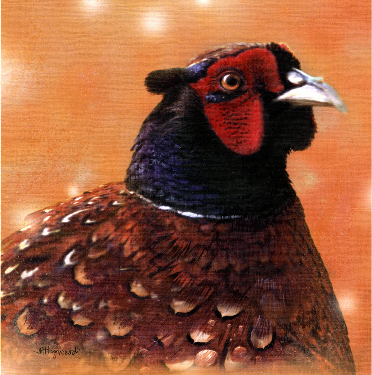 Art 7